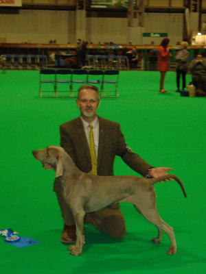 Crufts 2019