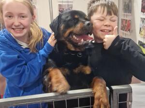 CRUFTS DISCOVER DOGS 2023