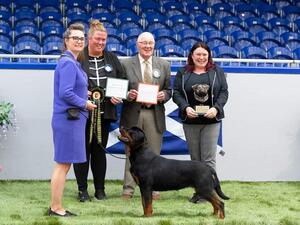 Teigan Honesti Winning BIS at Scottish Rottweiler