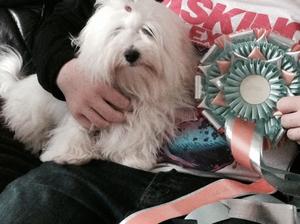 LOTTIE RESERVE BEST PUPPY IN SHOW