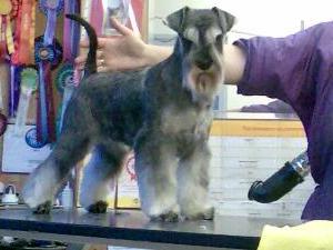 Dam - Naughty By Nature At Kristec