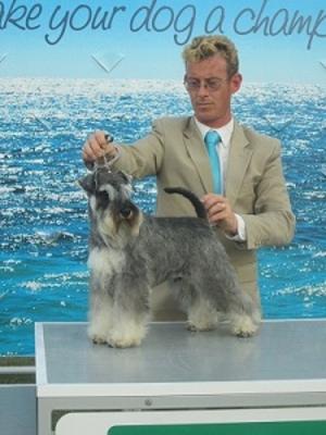 Ollie becoming FCI Multi Champion