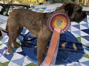 JRASAMUYR NINA SOROKINA BEST OF BREED