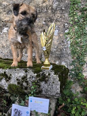 JRASAMUYR NINA SOROKINA BEST OF BREED CESENA INTER