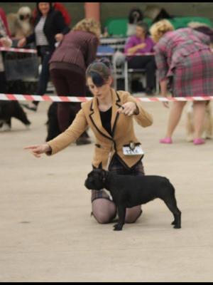 Dior at swka open bitch class