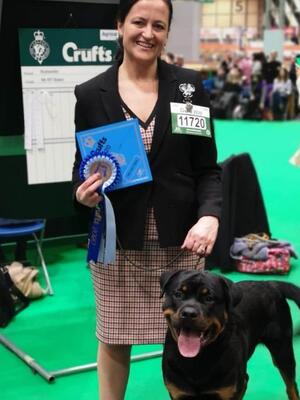 Torsite The Hulk 2nd PD Crufts 2020