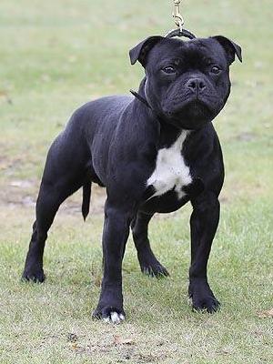 Reggie