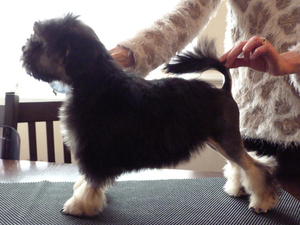 14 weeks old