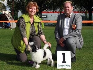Winning Best puppy at his first show