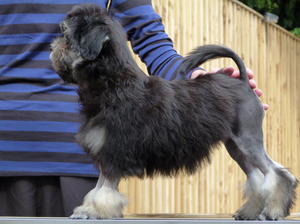 Sara at 12 weeks