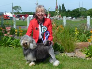 Broevans Mark Of The Hero DCC & BOB June 2014