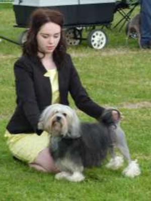OUR NEW UK CHAMPION TOMOLLY LUCY LOU (AUG 2014)