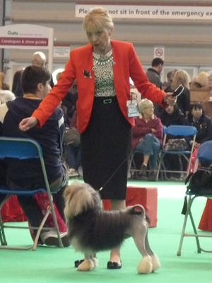 Broevans Mark Of The Hero