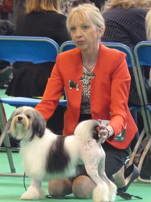 Crufts 2014 age 9 months