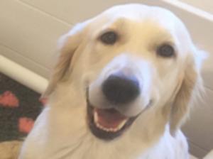 Winnie