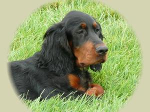 Toria at 4 months of age