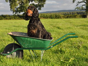 Zena having a ride