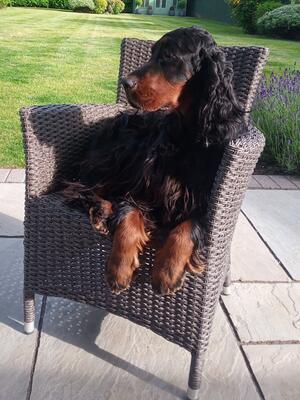 enjoying the sun