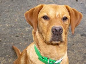 Derrity Francis (Doris)