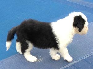 Bubbles at 6 weeks