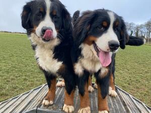 Nell and daughter Scout