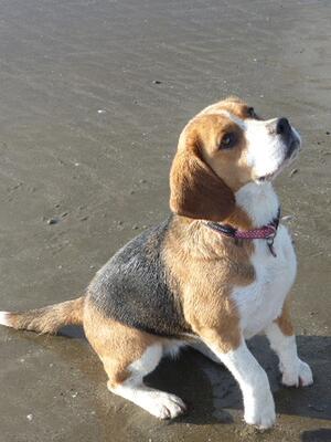 Beach Day