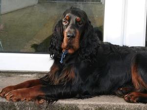 Sire (Arran)