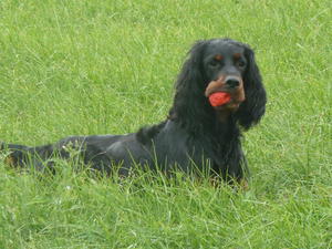 Playing the clown with her ball !!