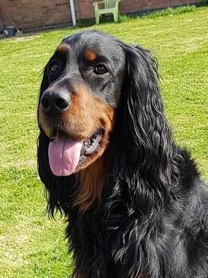 Radley
