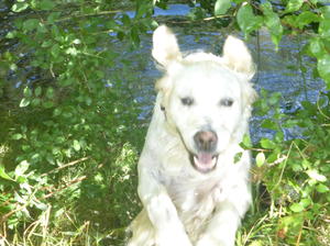 Merlyn having fun around the river