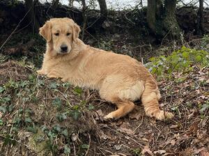 Olive 7 1/2 months