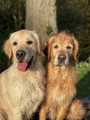 Nellie & Daisie