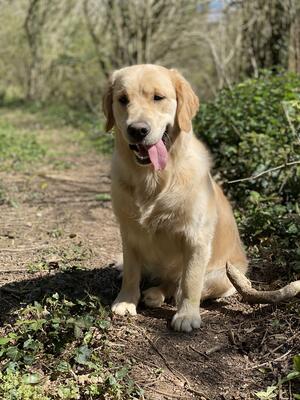 Ivy 11 months old