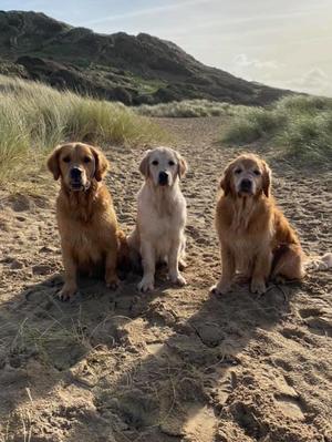 George, Nellie & Daisie