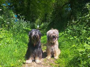 Carlos & Ruby - Devon