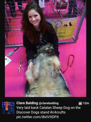 Discover Dogs Crufts 2016!