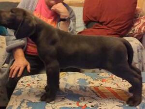 STACKED AT 6 WEEKS