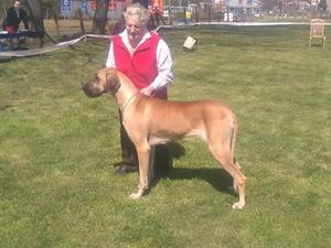 Lucy 2016 E of E show.