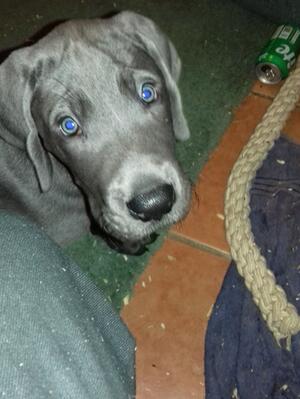 WHO ME?