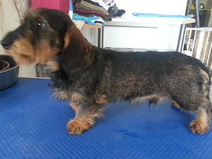 Bertie again