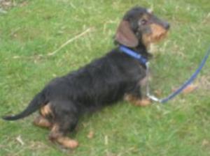 Terrie standing