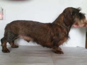 Henry as an adult.