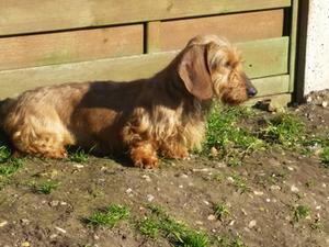 Sunning herself