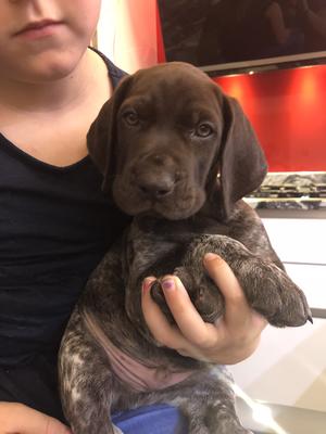 Columbus loves hugs and cuddles.