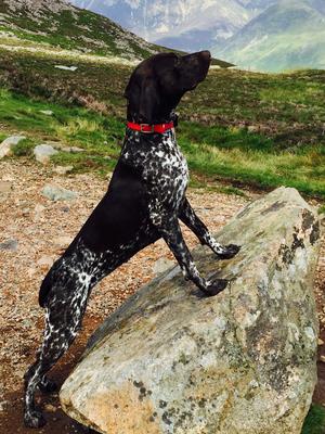 Zara at 14 months old taking on the World