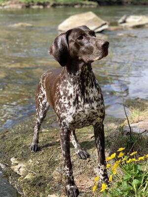 Zara at 5 years old enjoying a dip
