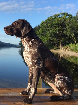 Zara at 22 months old admiring the view