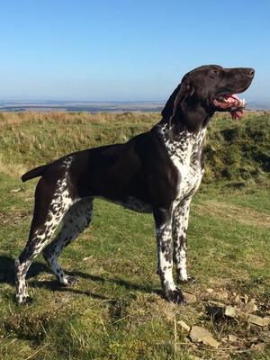 On top of the World (well the Gelts Dales Moors!)