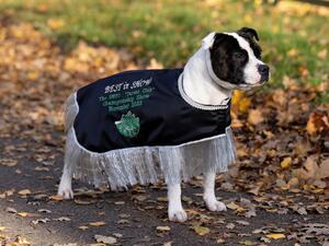 Best In Show SBTC November 2023