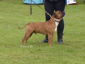 Hank 1st in Post Graudate